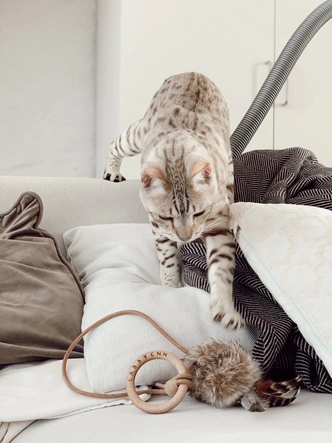 Jouet pour chat Musse - Labbvenn