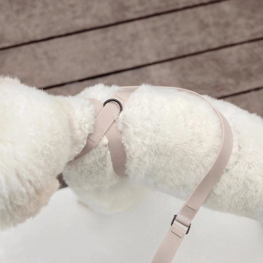 OTTO | harnais imperméable figure 8 pour chiens et chats - Lambwolf Collective