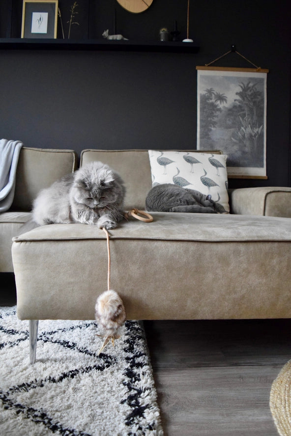 Jouet pour chat Musse - Labbvenn