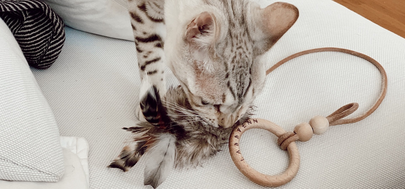 Jouet pour chat Musse - Labbvenn