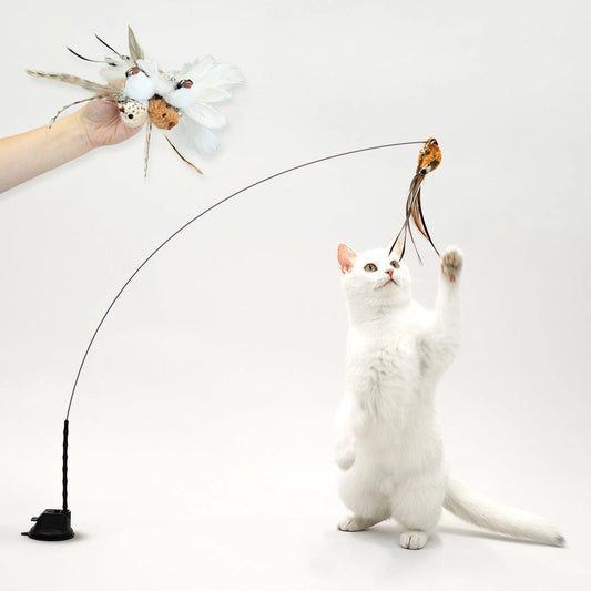 Ensemble de Jouets Interactifs pour Chats - Simulation d'Oiseaux - Leo's Paw