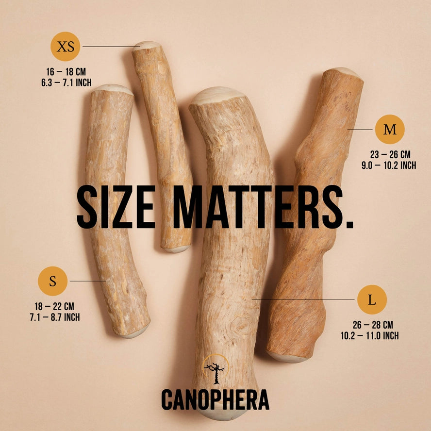 Bâtonnet à Mâcher Pour Chien en Bois de Café - CANOPHERA GmbH