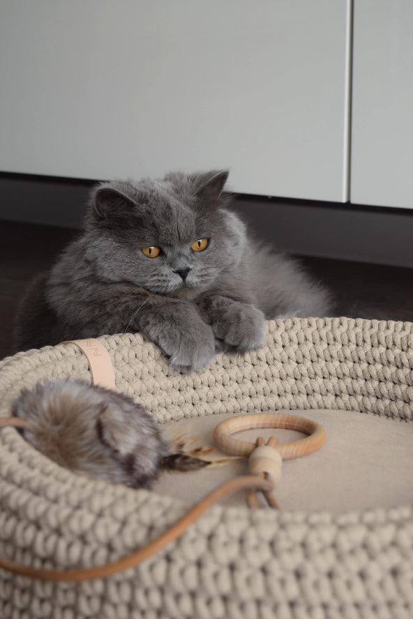 Jouet pour chat Musse - Labbvenn
