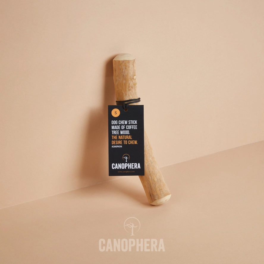 Bâtonnet à Mâcher Pour Chien en Bois de Café - CANOPHERA GmbH