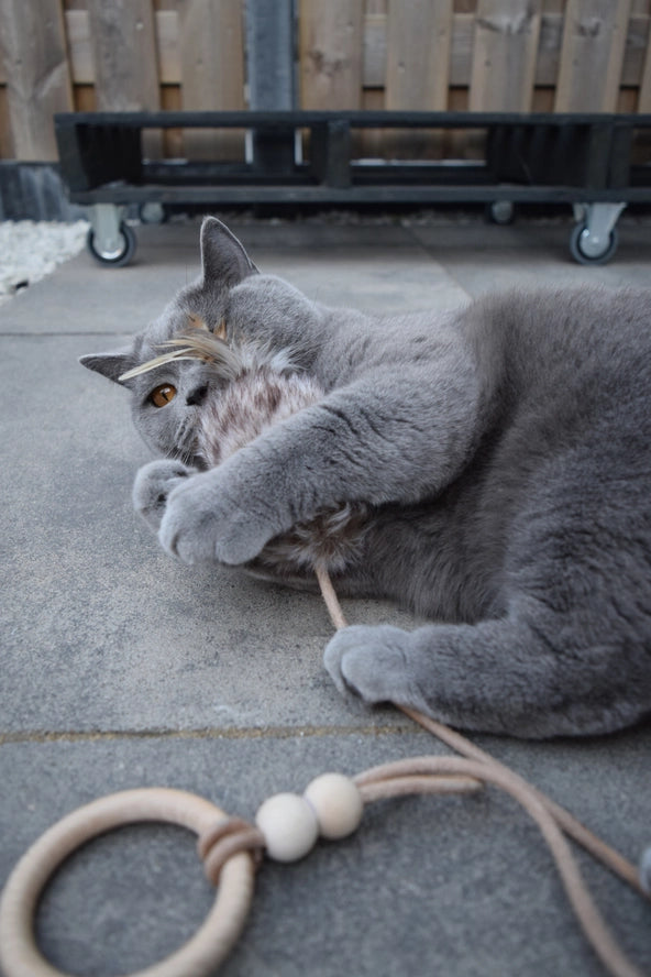 Jouet pour chat Musse - Labbvenn