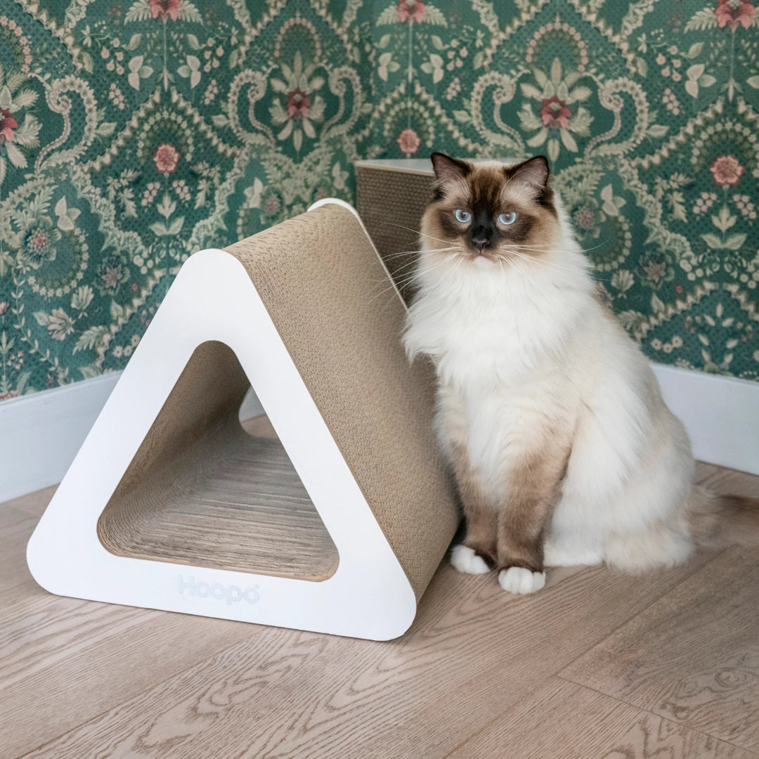 Meubles à gratter triangulaires pour chats - Jouets pour chats écologique - Hoopo