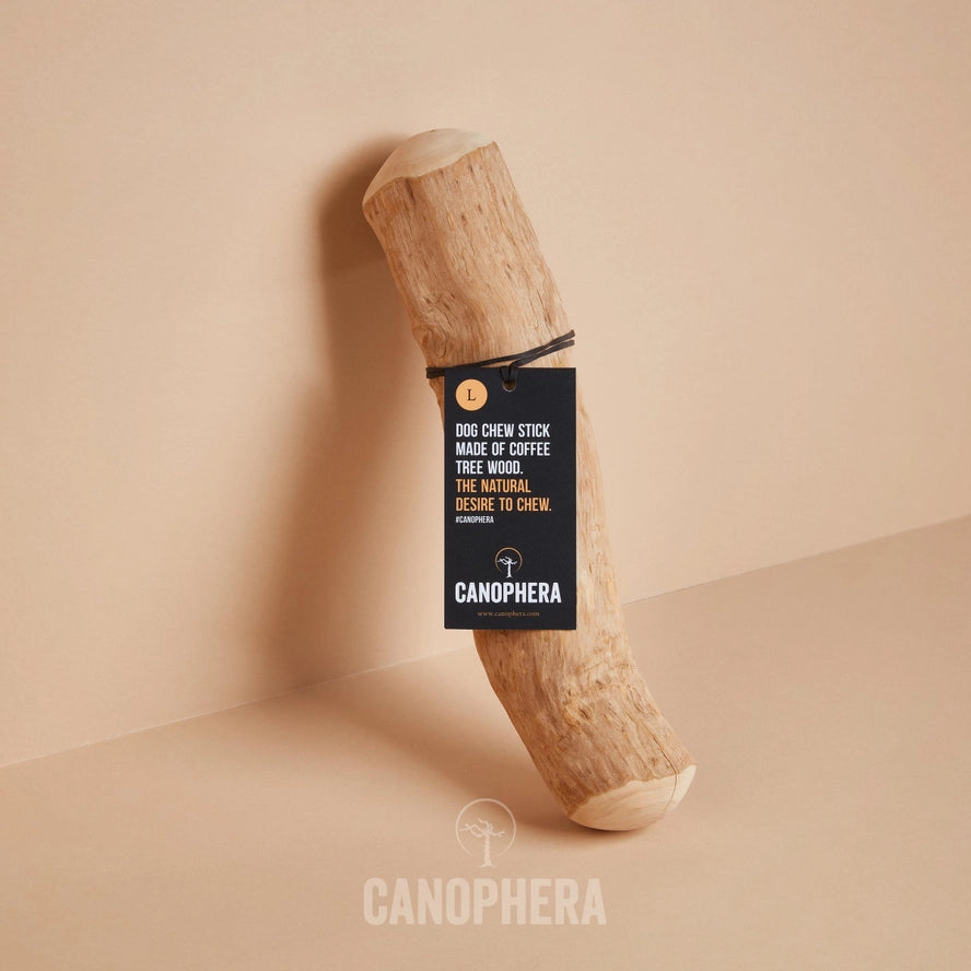 Bâtonnet à Mâcher Pour Chien en Bois de Café - CANOPHERA GmbH