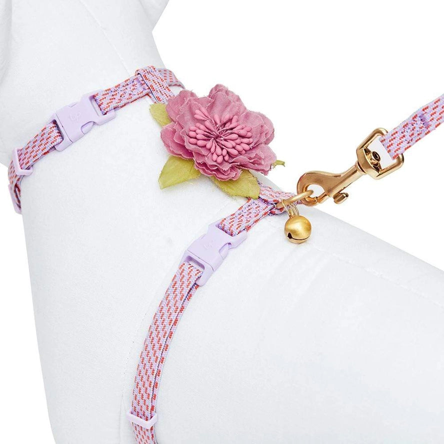Ensemble de Laisse et Harnais pour Chat - Blueberry Pet