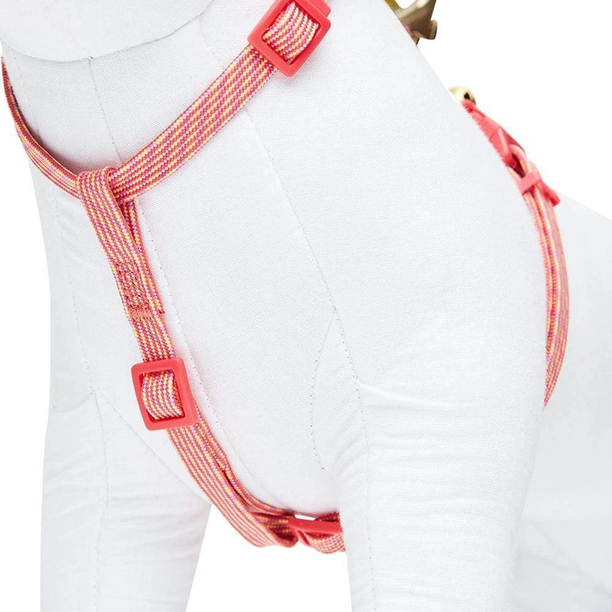 Ensemble de Laisse et Harnais pour Chat - Blueberry Pet