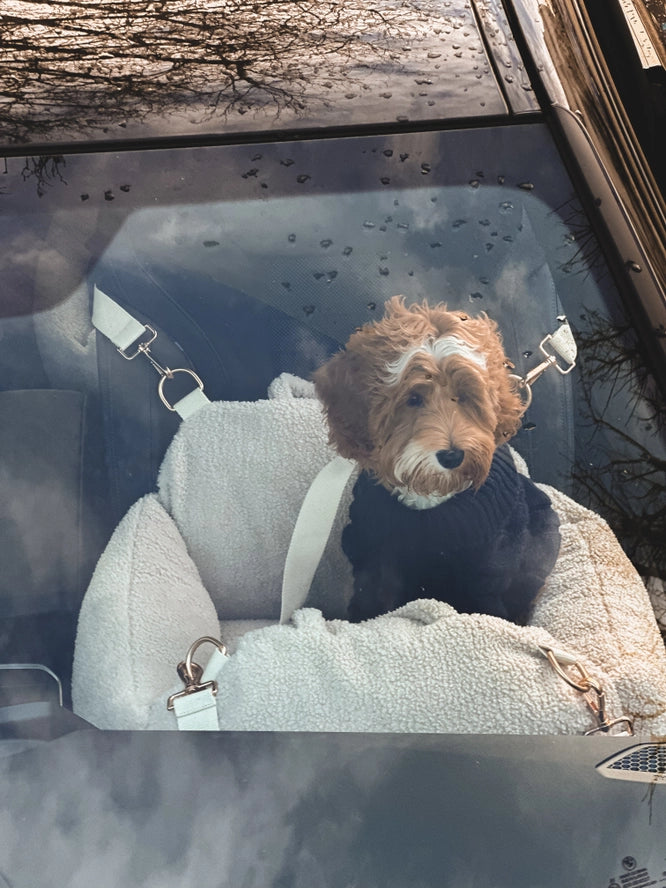 Le siège auto Cosy - By Teddy