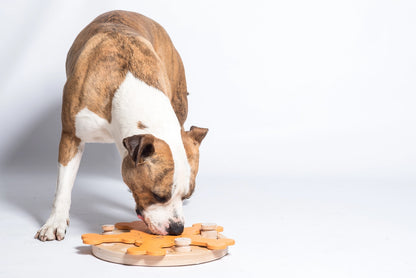 Carousel of Bones - Jeu d'Intelligence Chien - My Intelligent Dogs – vue 3