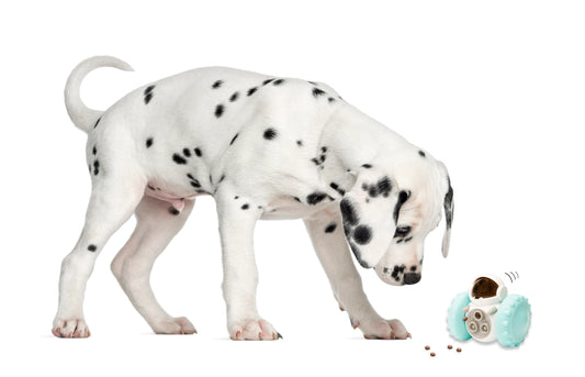 Jouet Robot Pour Animaux de Compagnie - MAGS