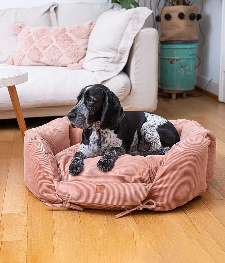 Ronny Cord - Lit pour Chien - PET & Co. eine Marke von Variance GmbH