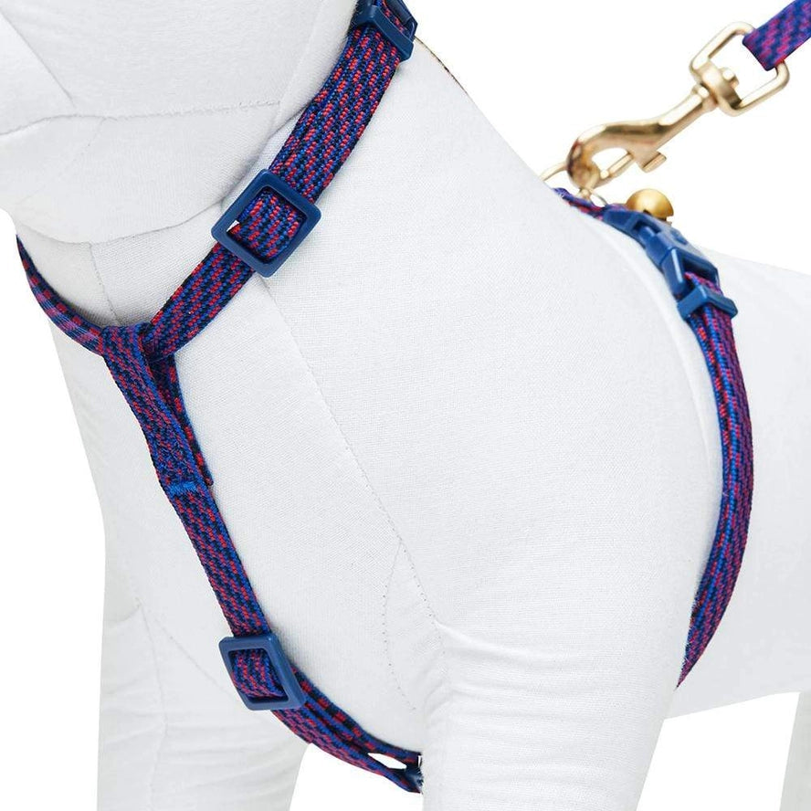 Ensemble de Laisse et Harnais pour Chat - Blueberry Pet