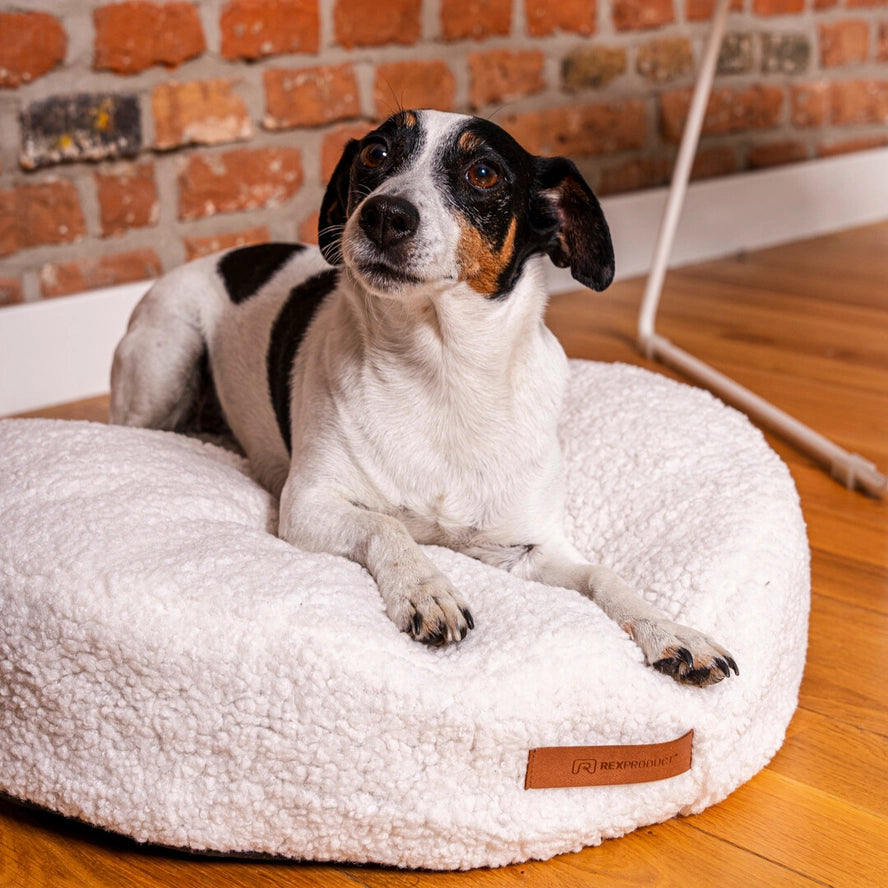 Lit rond COCO TEDDY beige pour chiens et chats - Rexproduct Sp. z o.o. Sp. k.