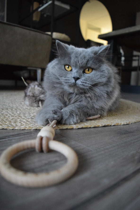 Jouet pour chat Musse - Labbvenn