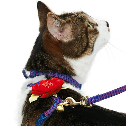Ensemble de Laisse et Harnais pour Chat - Blueberry Pet – vue 9