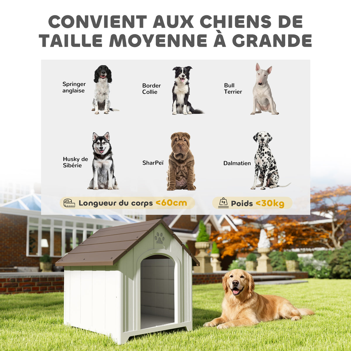 Niche pour chien extérieur, maison chien en polypropylène imperméable ventilé plancher surélevé 88x79x89cm gris clair