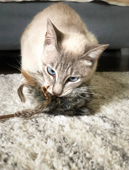 Jouet pour chat Musse - Labbvenn – vue 19