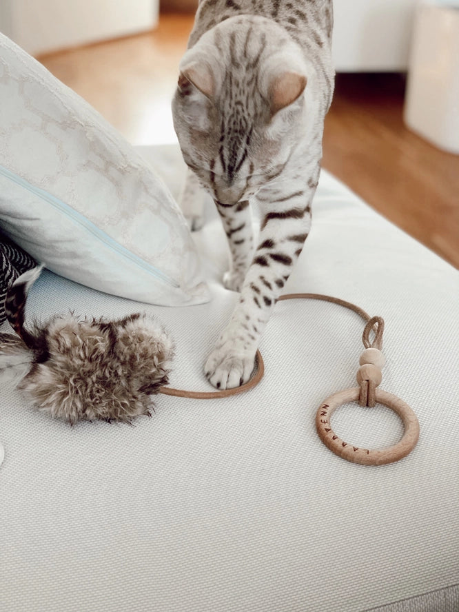 Jouet pour chat Musse - Labbvenn