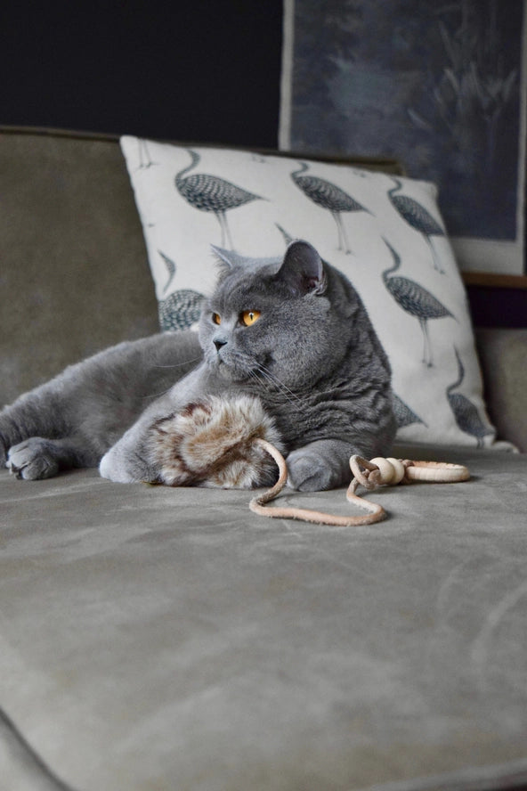 Jouet pour chat Musse - Labbvenn