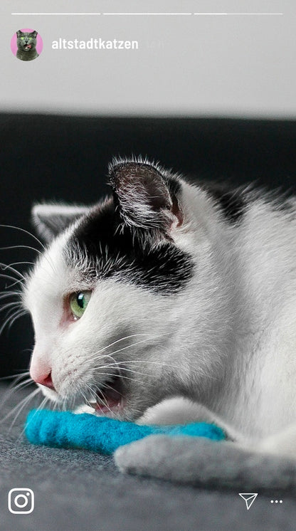 Jouet pour Chat en Laine Vierge : Vers et Coussins à la Menthe - Kater Kasimir – vue 3