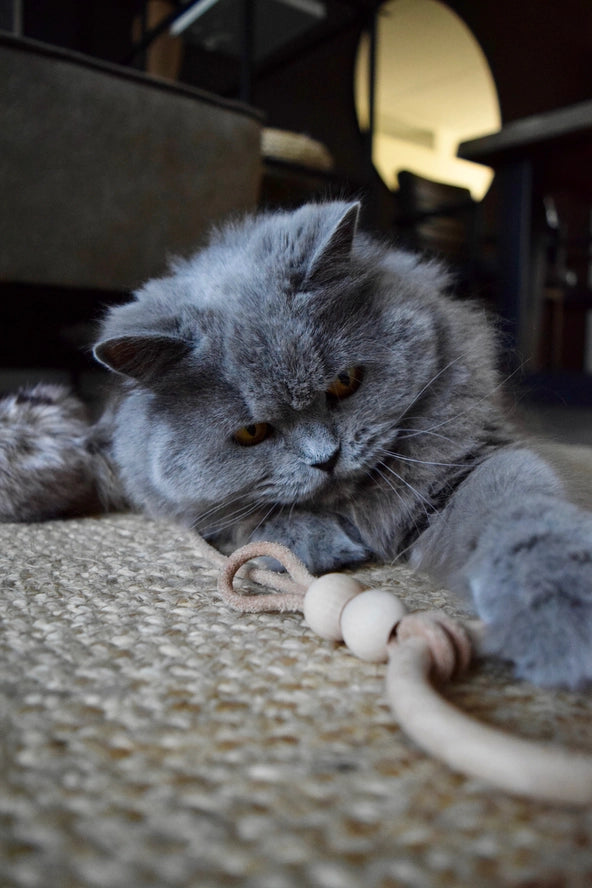 Jouet pour chat Musse - Labbvenn
