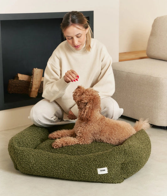 Lit Pour Chien Green Sheep, Snozy - CAFIDE