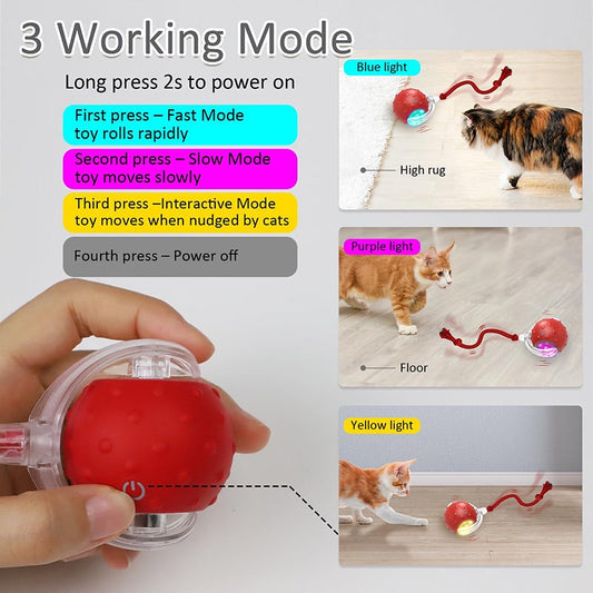 Balle Interactive pour Chat - Roulement Rapide Automatique - VIGOR
