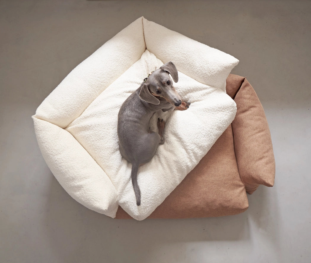 Coussins Pour Chien - VOL DOG