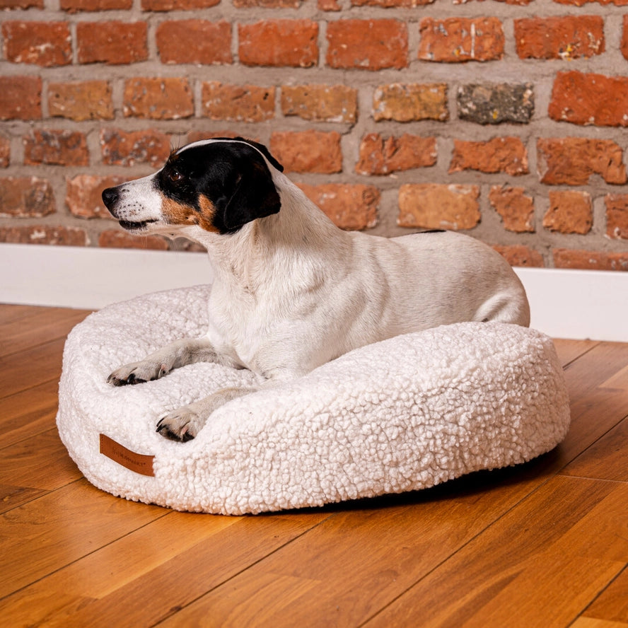 Lit rond COCO TEDDY beige pour chiens et chats - Rexproduct Sp. z o.o. Sp. k.