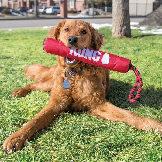 Bâton Signature KONG avec Corde - Hofman Animal Care