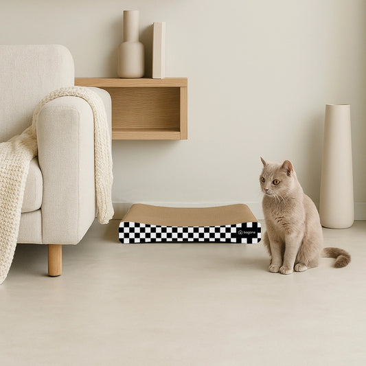 Buren - Griffoir pour chat à damier noir et blanc - BAGANE