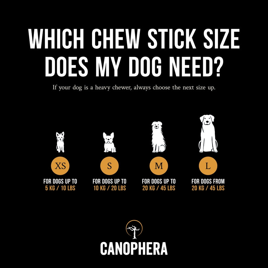 Bâtonnet à Mâcher Pour Chien en Bois de Café - CANOPHERA GmbH