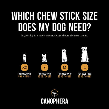 Bâtonnet à Mâcher Pour Chien en Bois de Café - CANOPHERA GmbH – vue 4