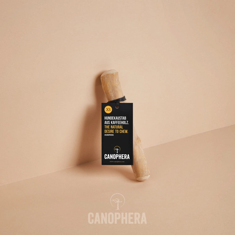 Bâtonnet à Mâcher Pour Chien en Bois de Café - CANOPHERA GmbH