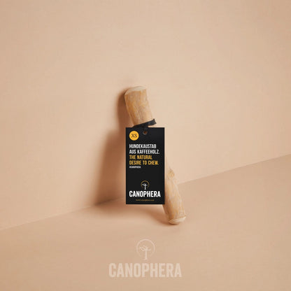Bâtonnet à Mâcher Pour Chien en Bois de Café - CANOPHERA GmbH