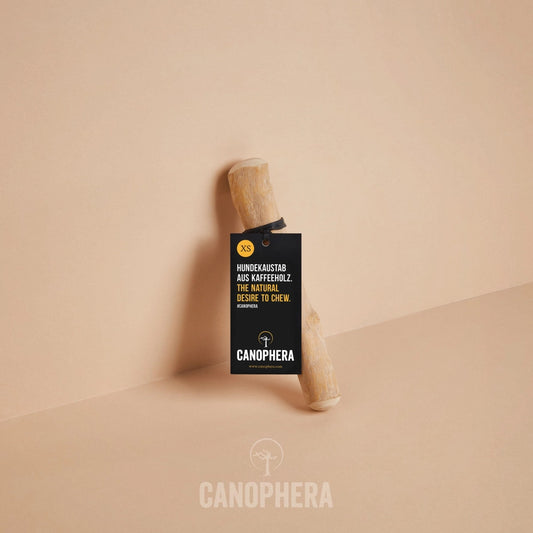 Bâtonnet à Mâcher Pour Chien en Bois de Café - CANOPHERA GmbH