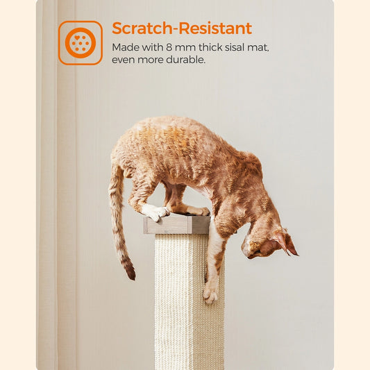 Griffoir pour Chat Gris-Beige - Greenwestons
