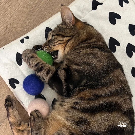 Set de 6 balles pour chat - New Heidi