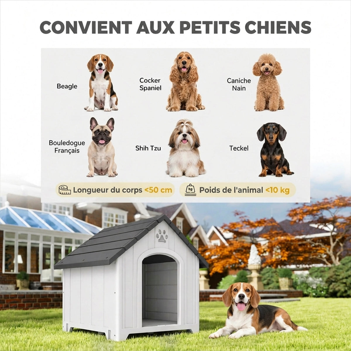 Niche pour chien extérieur, maison chien en polypropylène imperméable ventilé plancher surélevé 76x66x77cm gris clair