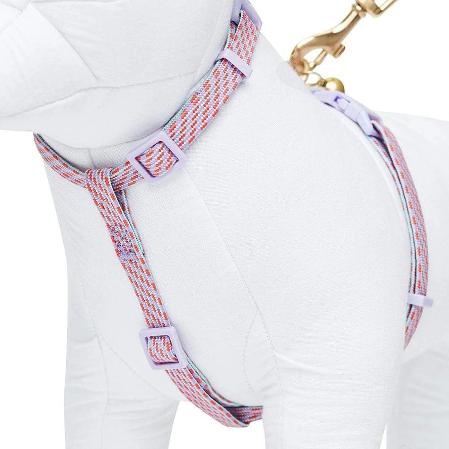 Ensemble de Laisse et Harnais pour Chat - Blueberry Pet
