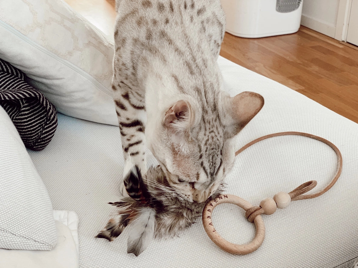 Jouet pour chat Musse - Labbvenn