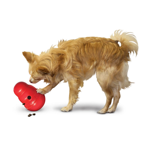 KONG Wobbler - Hofman Animal Care