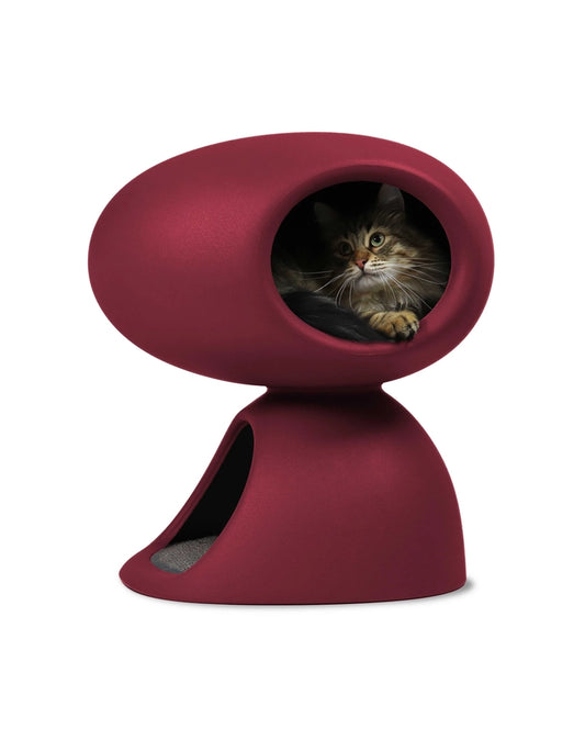 Lit design pour chat avec griffoir et jouet en peluche - United Pets