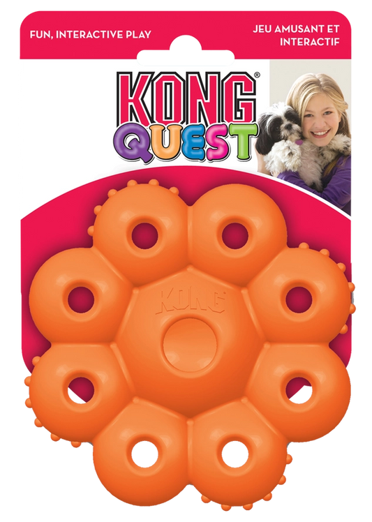 KONG Quest Étoile Pod - Hofman Animal Care