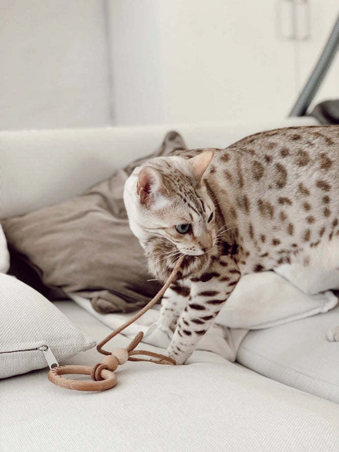 Jouet pour chat Musse - Labbvenn