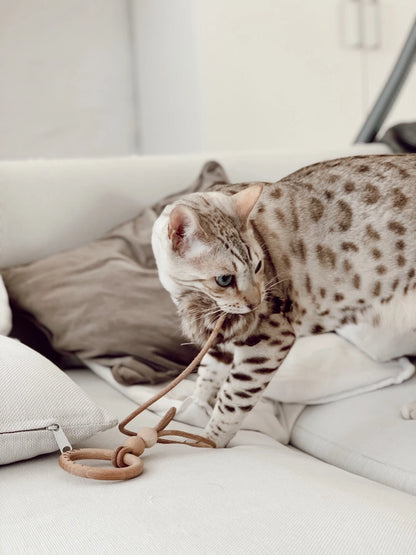 Jouet pour chat Musse - Labbvenn – vue 7