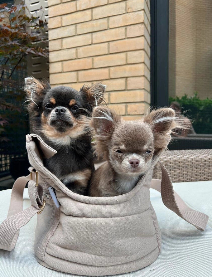 Sac pour chien RIO Sable foncé - tadazhi
