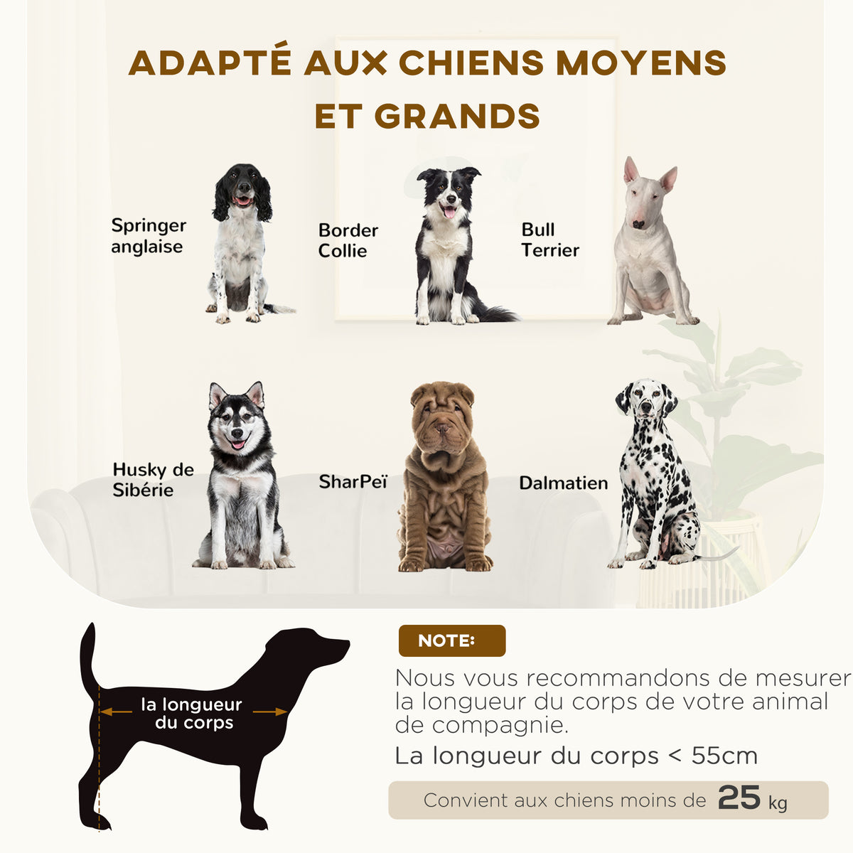 Canapé chien lit pour chien chat coquillage 98L x 60l x 35H cm coussin moelleux velours gris